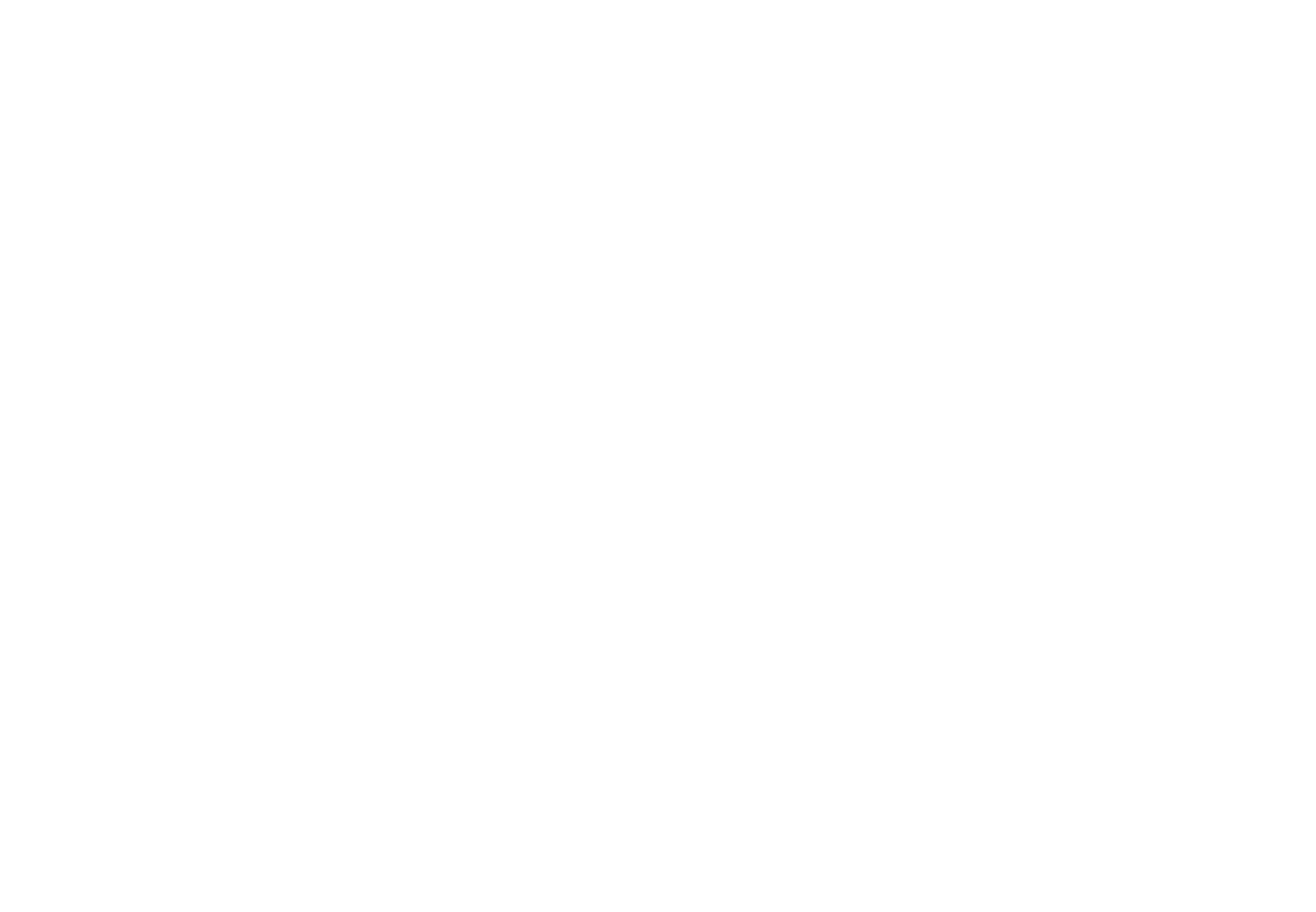 fmg Logo transparent weiss II