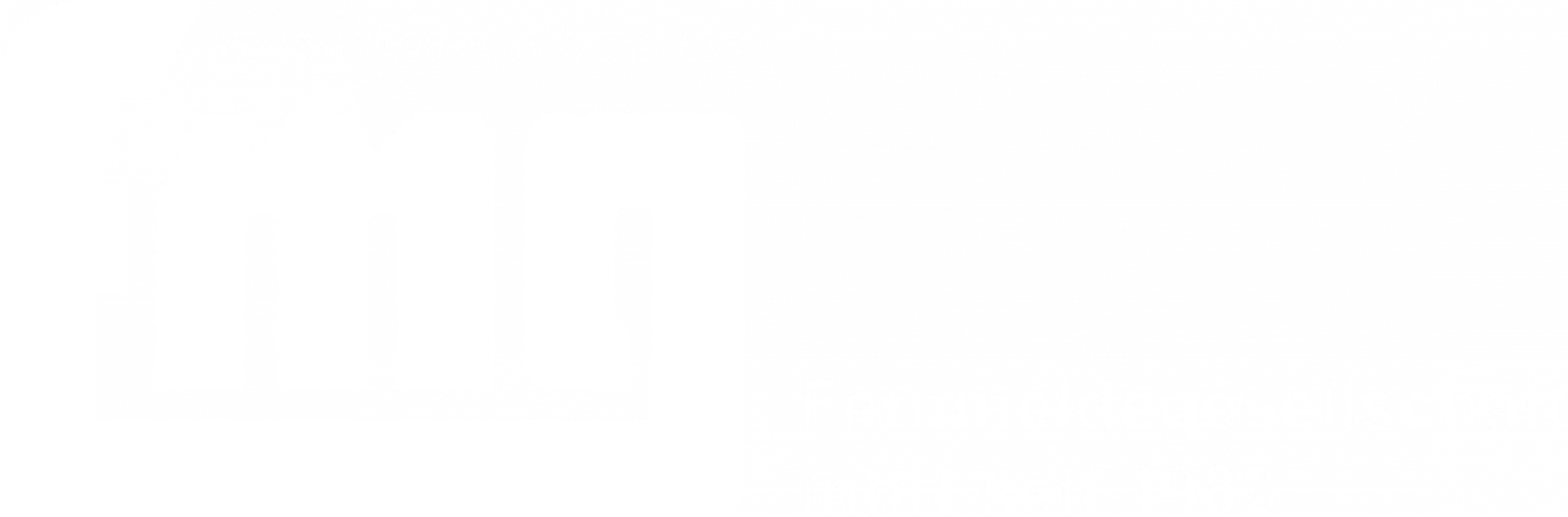 fmg Logo transparent weiss III